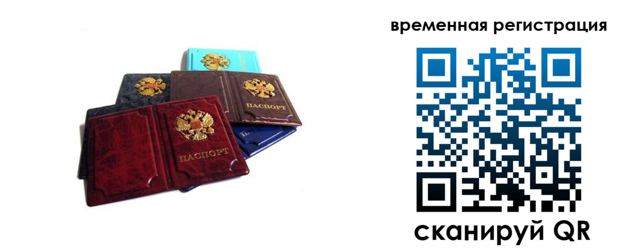 прописка гарантия в Новом Осколе